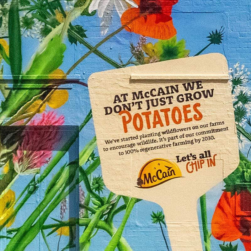 McCain: Let’s All Chip In