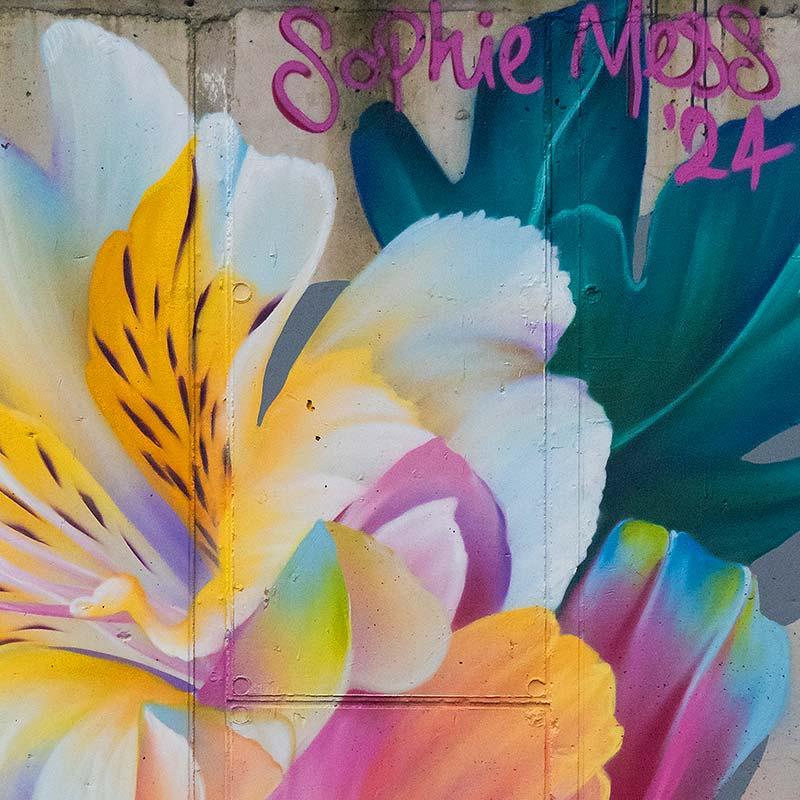 Sophie Mess x The Stage